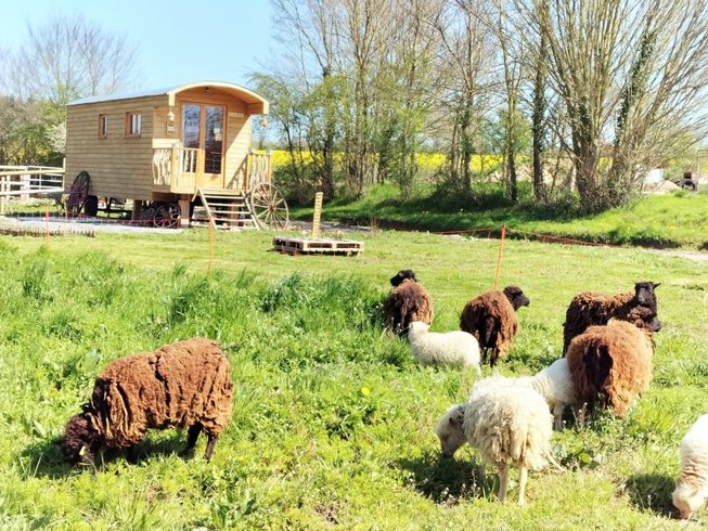 Hébergement AbracadaRoom : La Roulotte de Jane - Image 3