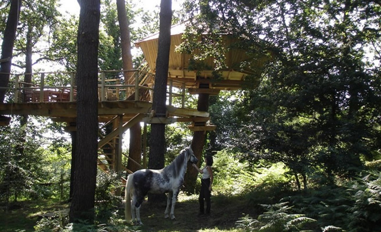 La Cabane perchée Baman à Ploemel (2)