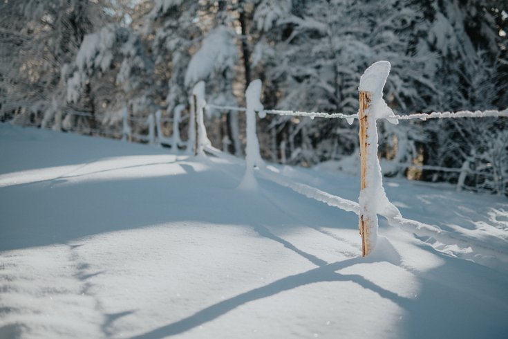 Hébergement AbracadaRoom : Homnest - L'Instant Sauvage - Vue Cimes & Forêt - Image 53