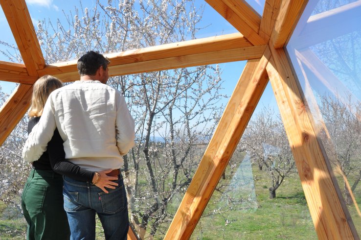 Hébergement AbracadaRoom : La bulle Ico - Image 2