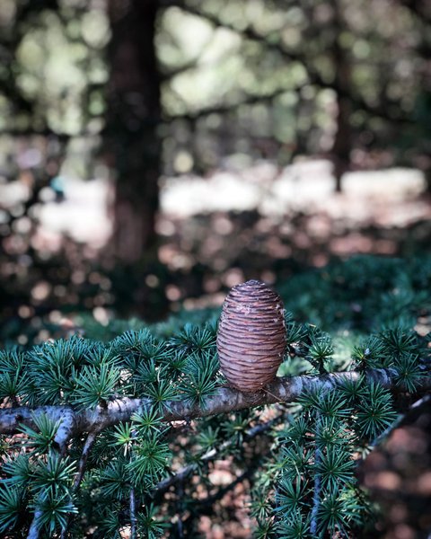 Domaine AbracadaRoom : Le Domaine de Vitarelle - Image 13