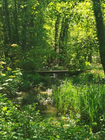 Hébergement AbracadaRoom : Dôme Stella & Spa - Image 15