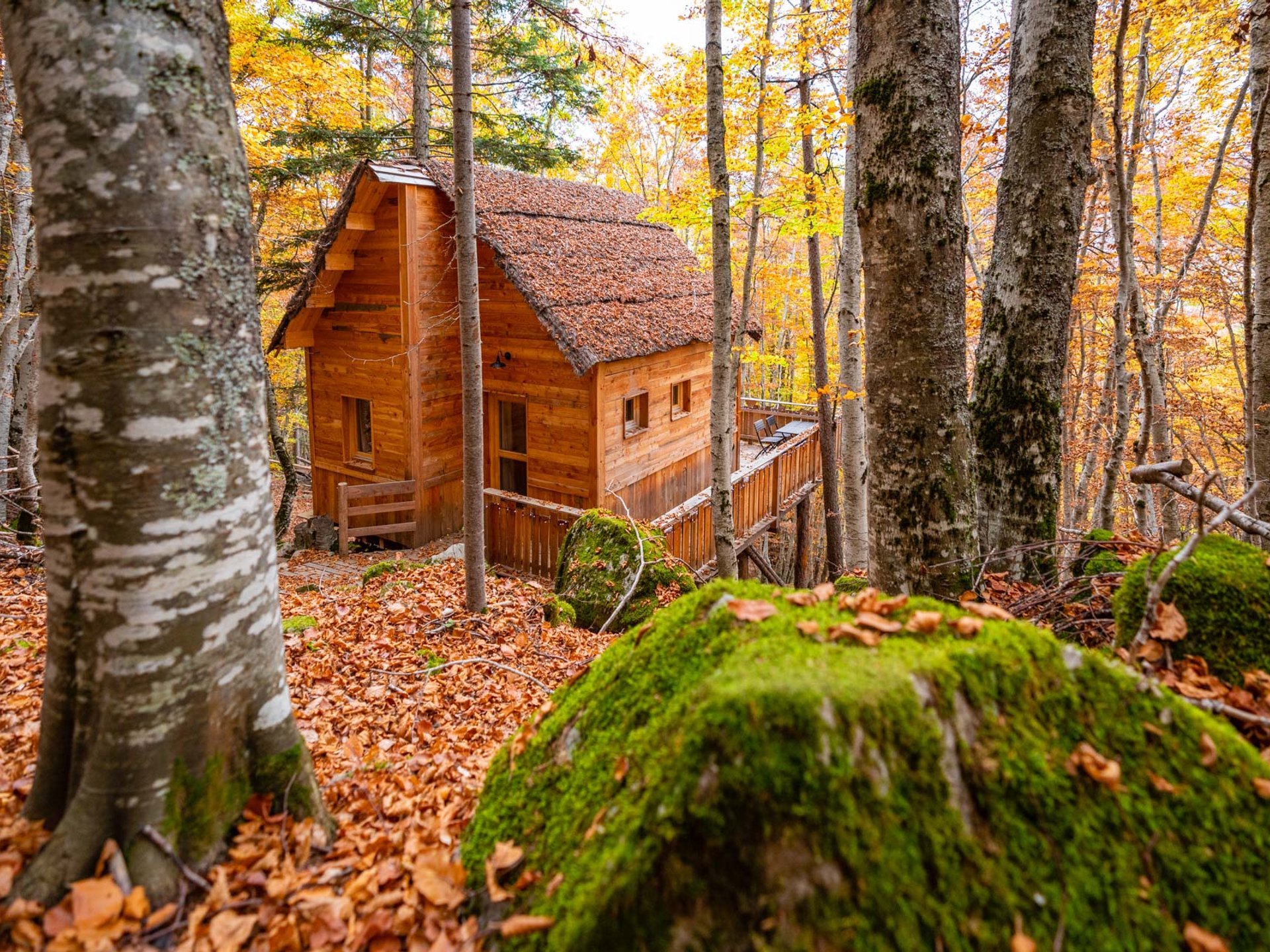 Cabane des Sylphes & Spa