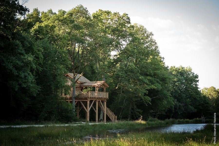 cabane dans les arbres avec spa-séjour insolite-en famille-tout confort-centre-abracadaroom