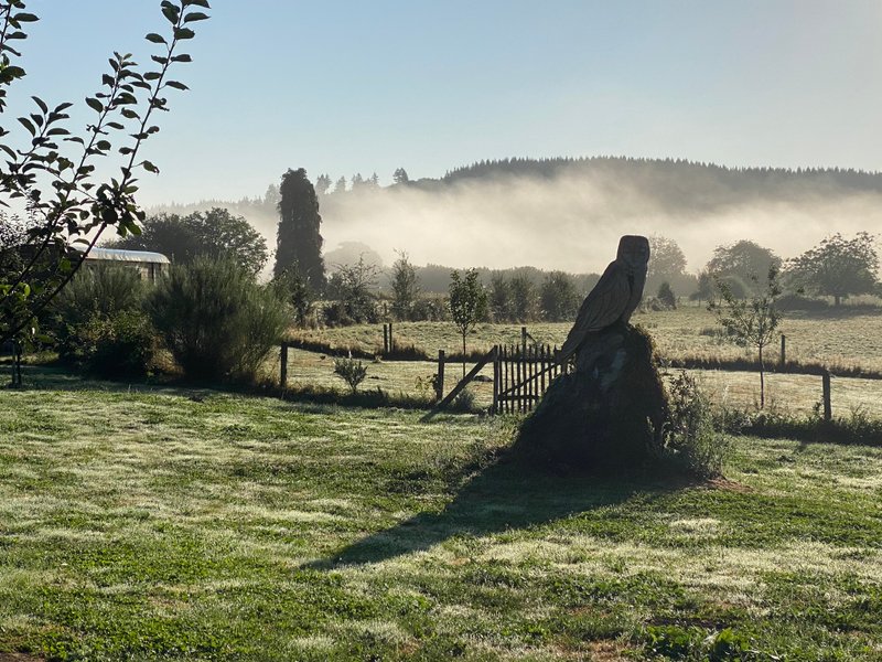 Domaine AbracadaRoom : Les terres de la chouette - Image 9