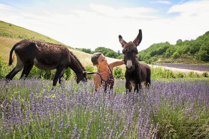 Domaine AbracadaRoom : La Ferme du Hitton Gers - Un Lit au Pré ( à supprimer) - Image 1