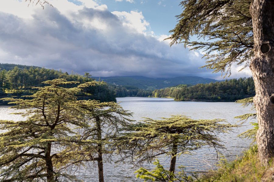 Hébergement AbracadaRoom : La Chapelle-Moulin & SPA - Image 27