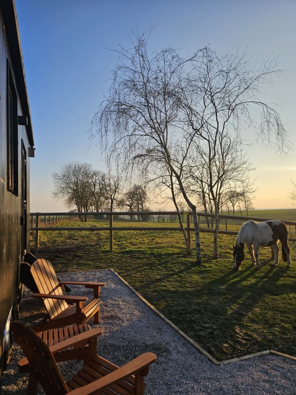 Tiny House Le Haras à Vron (11)