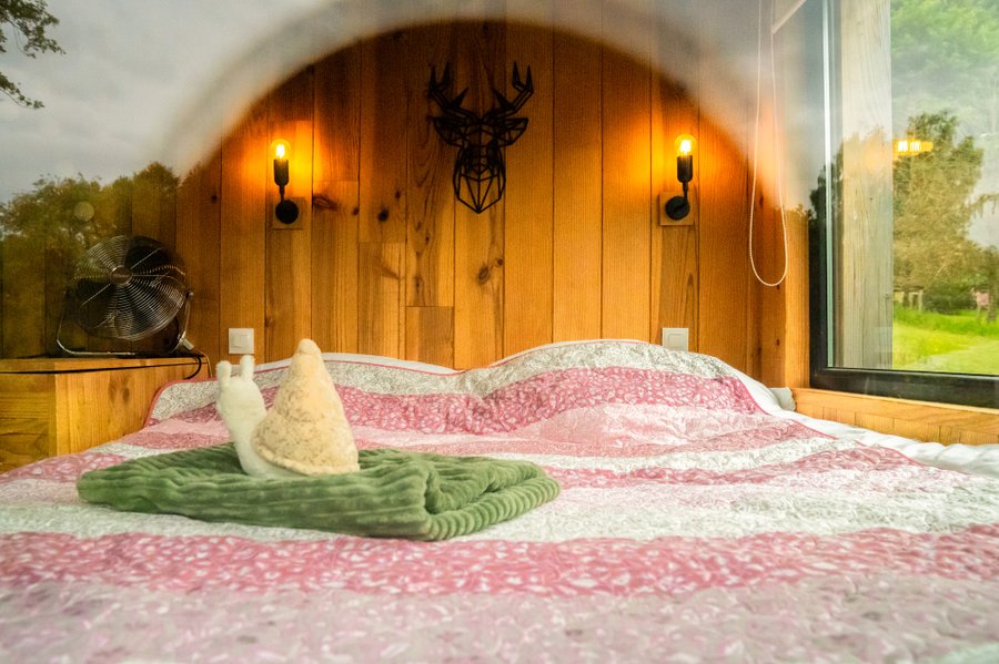 Hébergement AbracadaRoom : L’Escargoterie de la Forge - Immersion Champêtre - Image 6