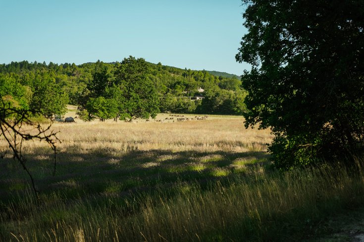 Domaine AbracadaRoom : Homnest (Viens) - Image 18