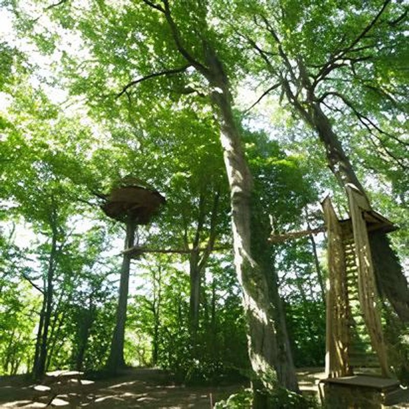 La cabane Haut-Perchée & Spa à Wail (3)