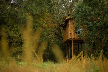Cabane Spa Ecole Buissonnière à St-Léger-Aux-Bois (1)