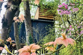 Cabane sur pilotis Marne
