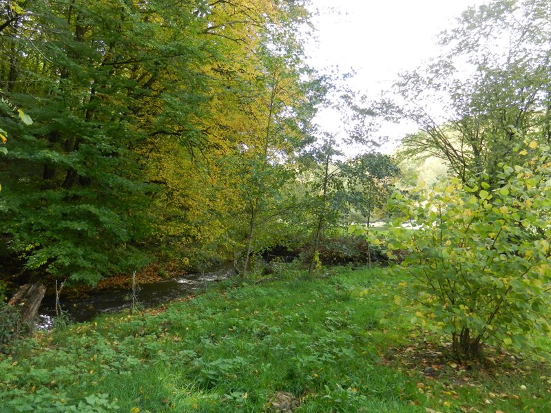 Domaine AbracadaRoom : Cabane-spa cocon du Gast - Image 31