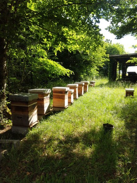 Hébergement AbracadaRoom : La Cabane des Nids en Périgord - Image 8