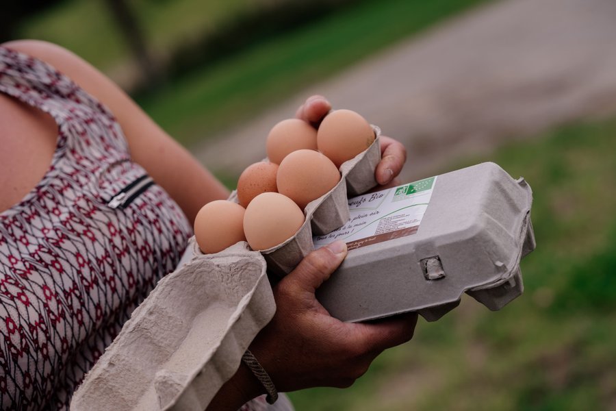Domaine AbracadaRoom : Un Lit au Pré - Ô Manoir de Glam's - Image 15