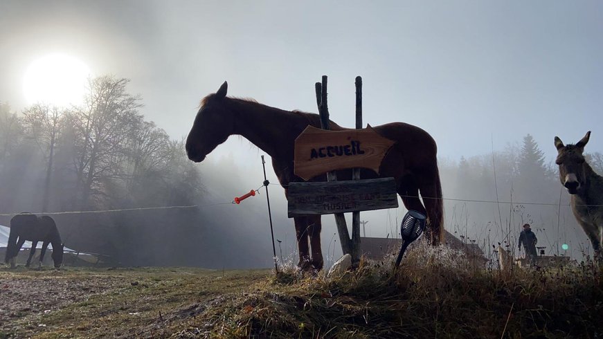 Domaine AbracadaRoom : Esprit du Nord - Image 34