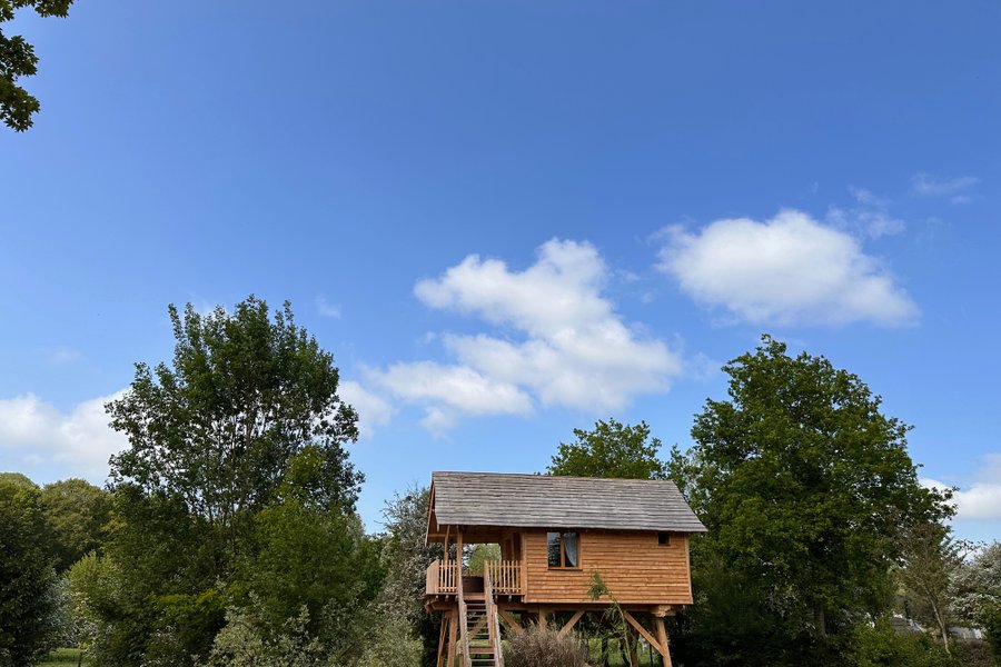 La Cozy & Spa — photo 2