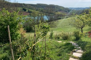 Layénie sous les Etoiles
