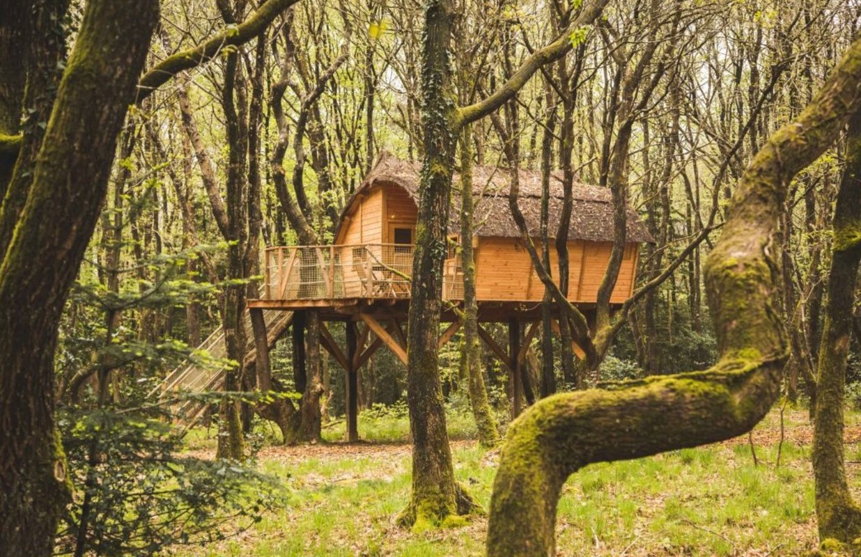 sejour insolite perché dans les arbres-famille-tinto-breatagne-abracadaroom