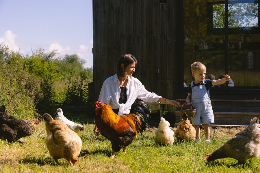 Domaine AbracadaRoom : Parcel Tiny House - à 20min du Zoo de Beauval - Image 19