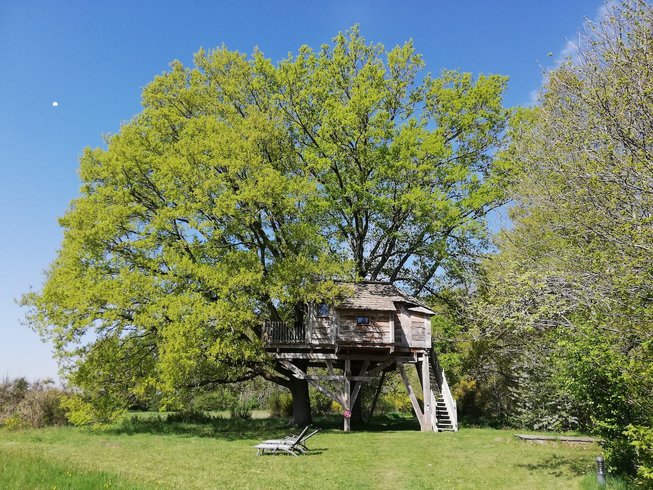 Hébergement AbracadaRoom : La cabane des chênes - Image 8