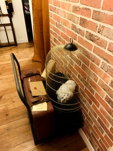 Domaine AbracadaRoom : Le refuge des mans-raudeurs - Image 3