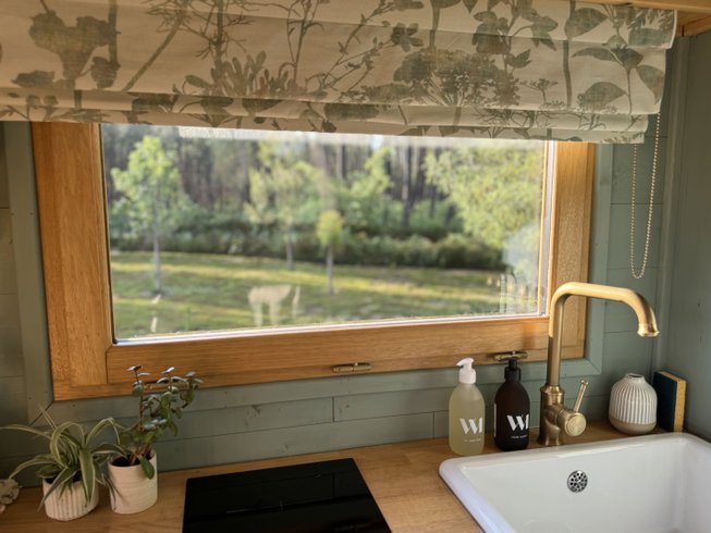 Hébergement AbracadaRoom : La Roulotte Findhorn - Image 6