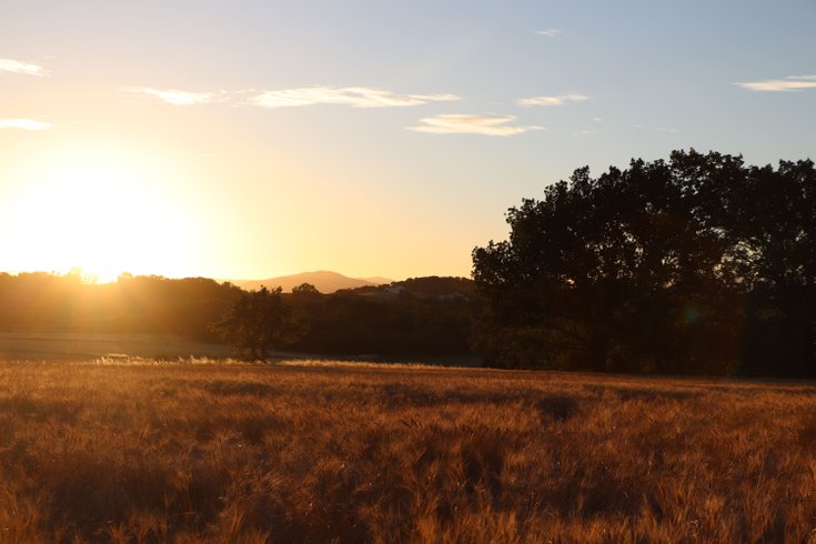 Domaine AbracadaRoom : Mas Lauralie - Image 1
