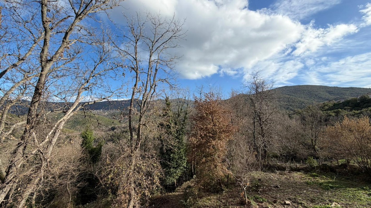 Tiny house MURATO avec baignoire extérieure à Murato (21)