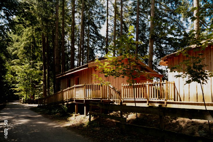 Hébergement AbracadaRoom : Cabane HIRONDELLE - Séance sauna offerte - Image 13