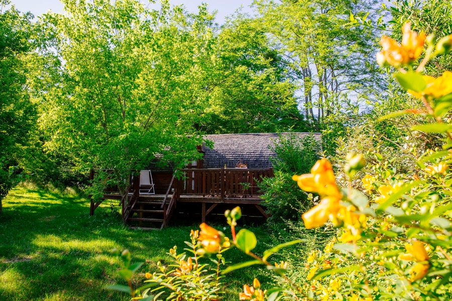 Hébergement AbracadaRoom : Roulotte viticole - Image 3