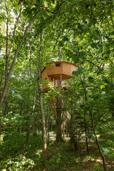 Hébergement AbracadaRoom : Monkey Tree - Image 1