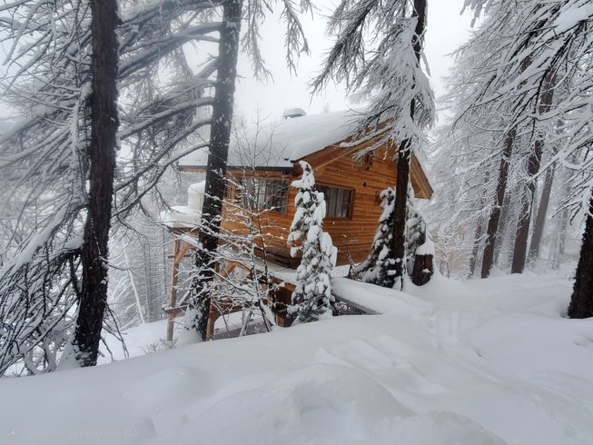 Hébergement AbracadaRoom : Cabane Hulotte - Image 17