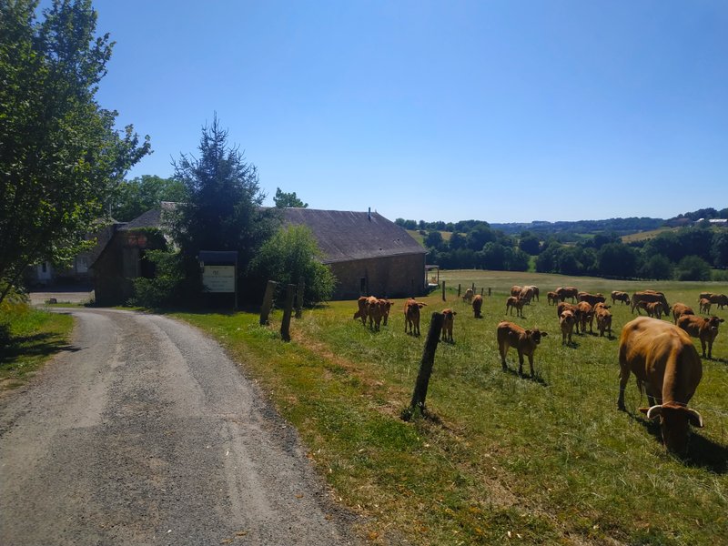 Domaine AbracadaRoom : Le domaine de la Clauzade - Image 5