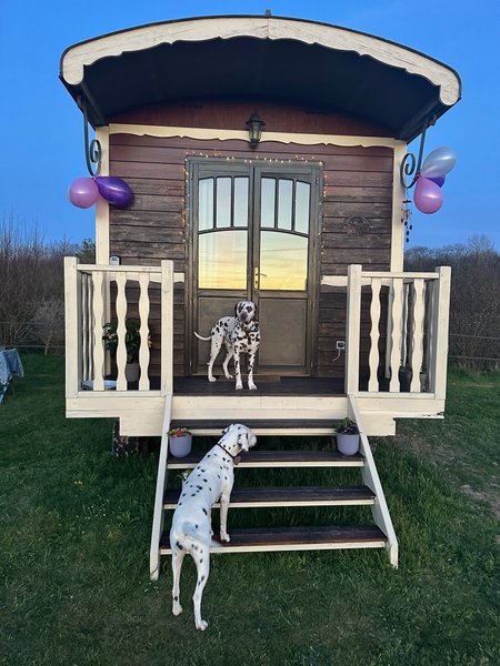 Domaine AbracadaRoom : Les roulottes des amis de Wonky - Image 11