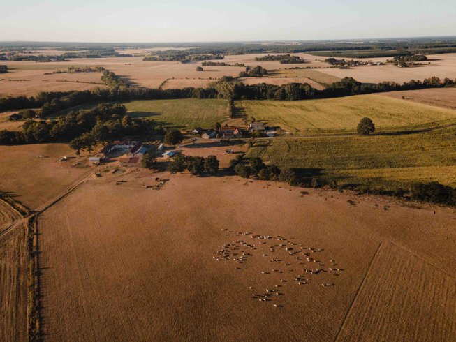 Domaine AbracadaRoom : Parcel Tiny House - en Touraine proche du Zoo de Beauval - Image 11