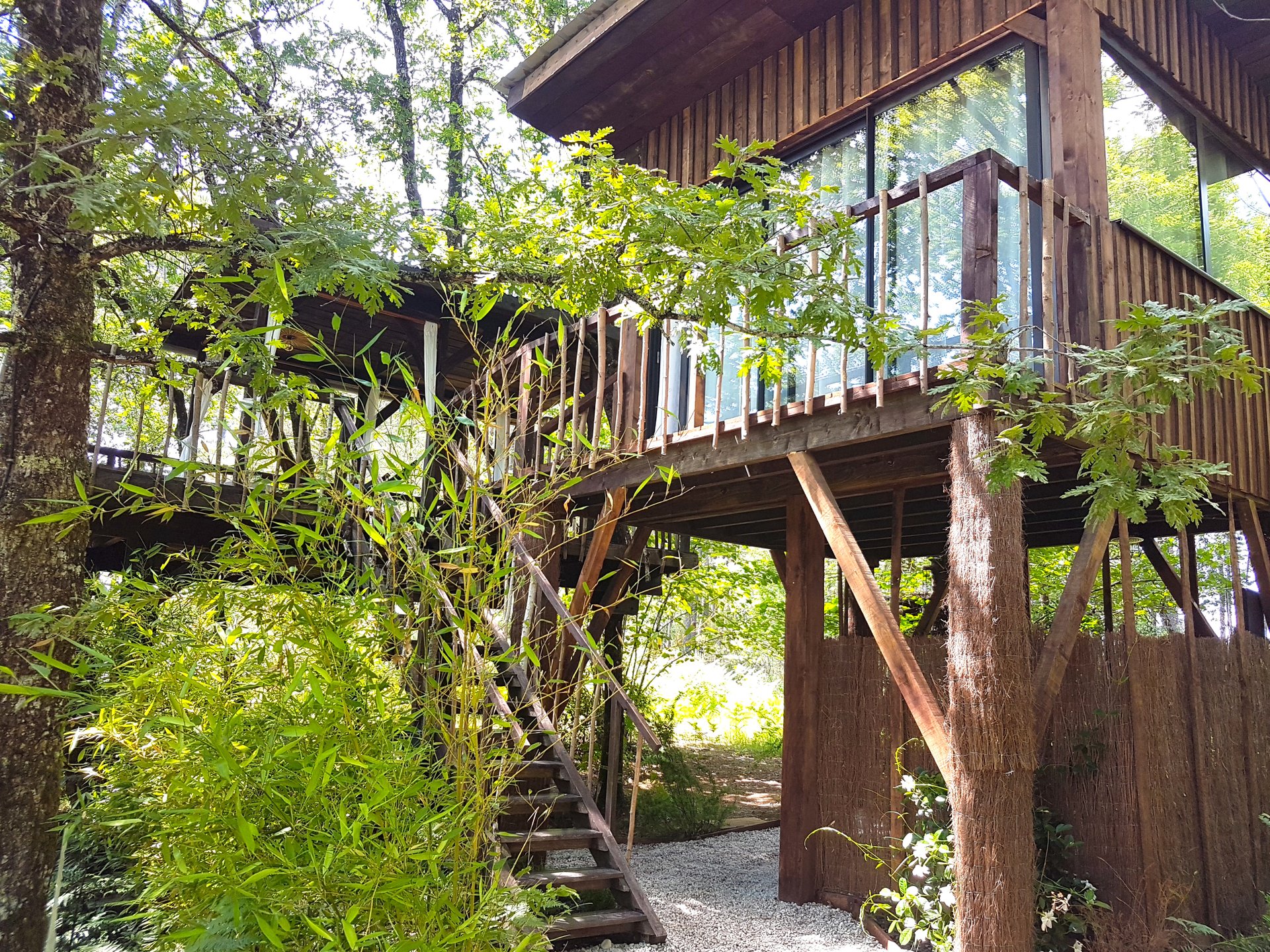 Cabane Réminiscence et Spa dans les arbres