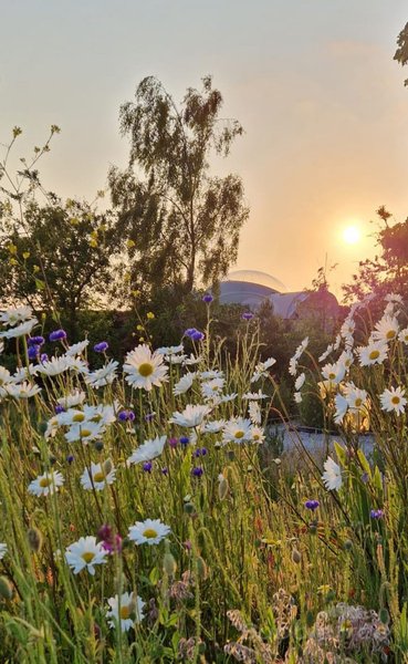 Hébergement AbracadaRoom : Bulle UMa avec planche dînatoire et petit-déjeuner - Image 2