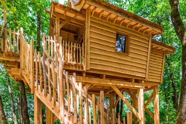 Cabane Artémis