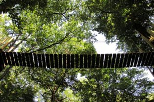 Les Cabanes du Lac du Der