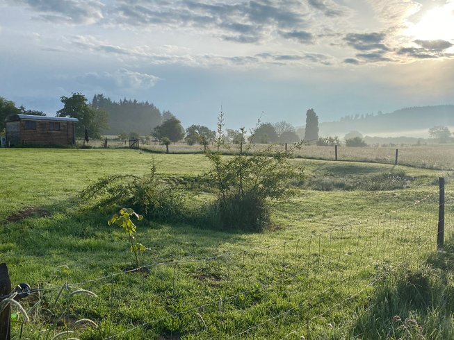 Hébergement AbracadaRoom : Roulotte 360°nature - Image 22