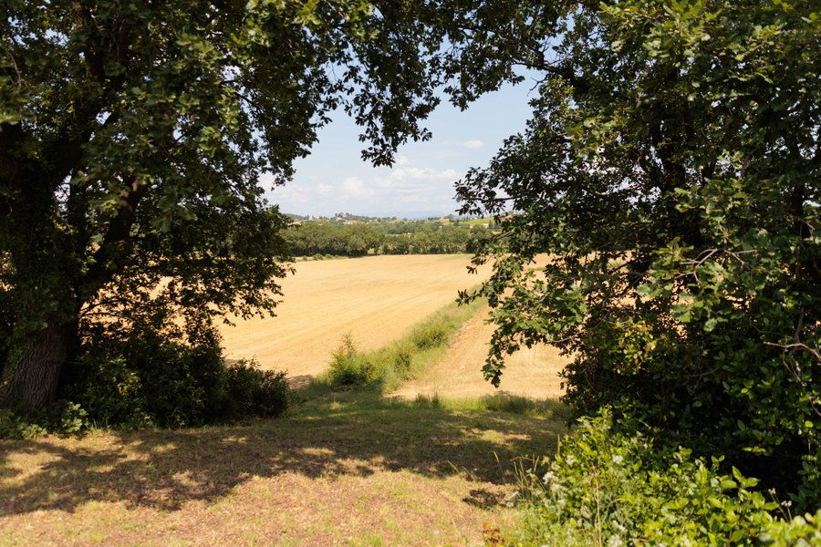 Hébergement AbracadaRoom : La Cabane Cassanha & Spa - Image 8