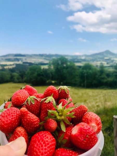 Domaine AbracadaRoom : Les Freytisses - Image 9