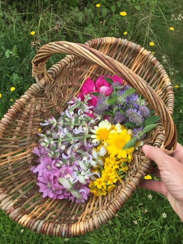 Domaine AbracadaRoom : Les Jardins d'Yzorche - Image 4