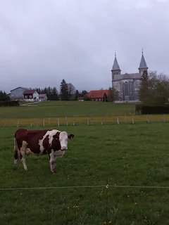 Domaine AbracadaRoom : Roulotte du Jura Vert - Image 2