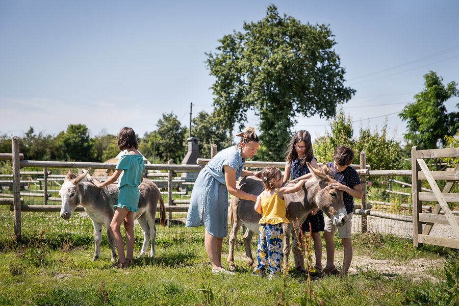 Domaine AbracadaRoom : La Préhouillère - Image 13