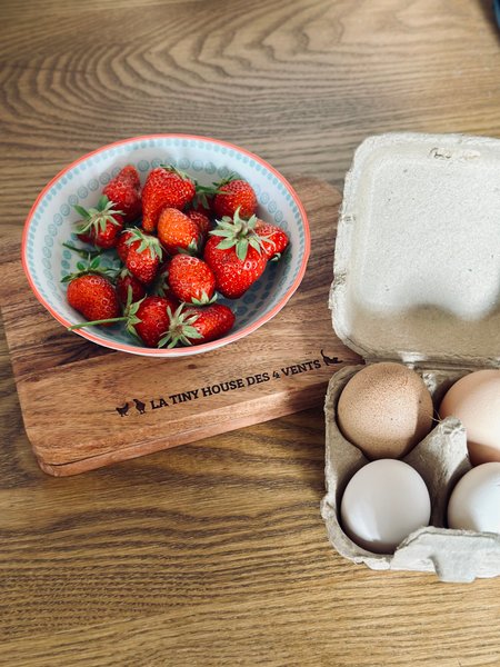 Hébergement AbracadaRoom : Tiny house des 4 vents & Bain nordique - Image 19