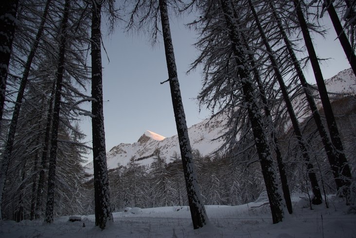 Domaine AbracadaRoom : Yourte de Montagne de Ratery - Image 4