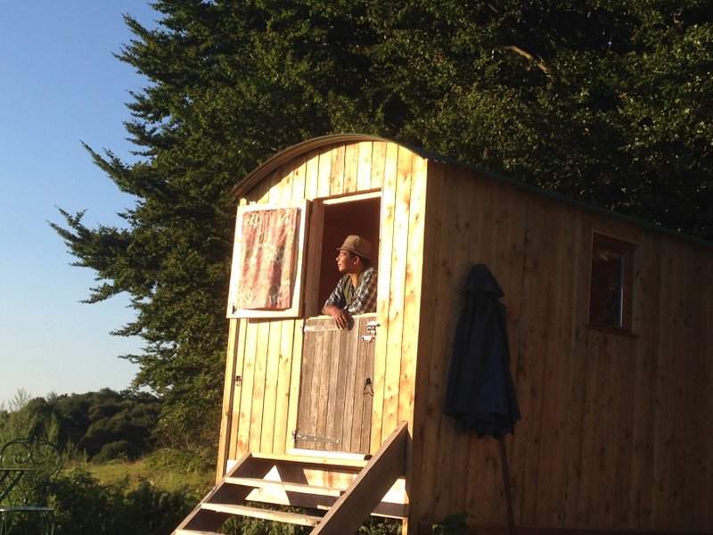 entree-frene-green-tree-glamping